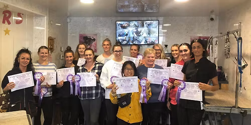 Pet \u26d1\ufe0f First Aid 