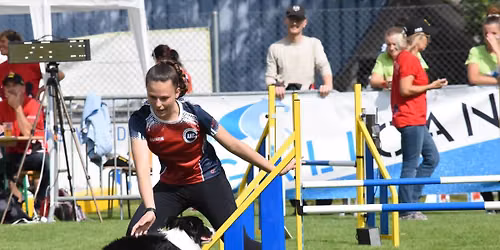 MIAC's Stars of Tomorrow Agility Camp 