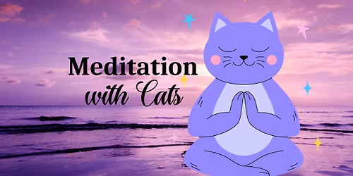 Guided Meditation Hour with Cats