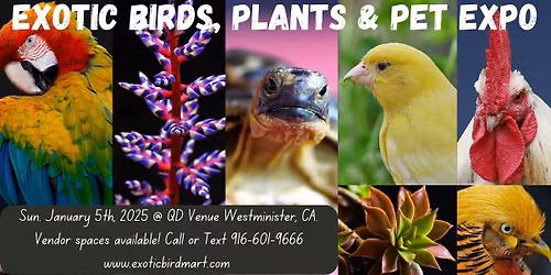 Exotic Birds, Plants & Pet Expo