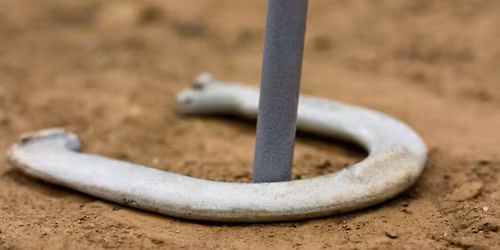 Horseshoe Tournament 