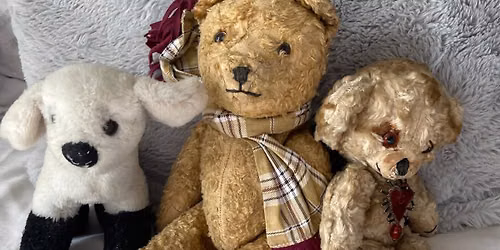 Soft Toy & Teddy Bear Hospital