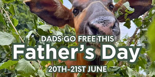 Dads go free - Fathers Day Weekend