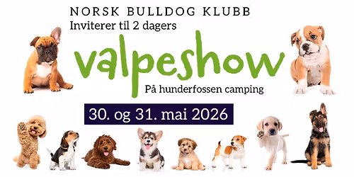 Norsk Bulldog Klubbs Valpeshow p\u00e5 Hunderfossen