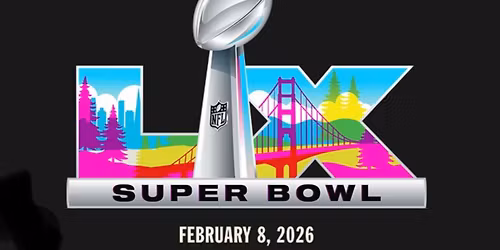 Steis\u2019s 31st Annual Super Bowl Party!