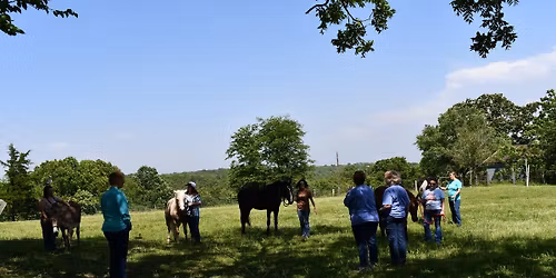 Ethics, Diversity, and Suicide Referral Process: Enlivening Continuing Education with Horses