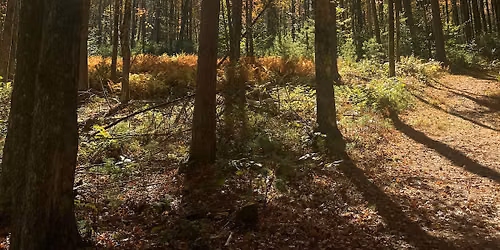 Nature On the Move
