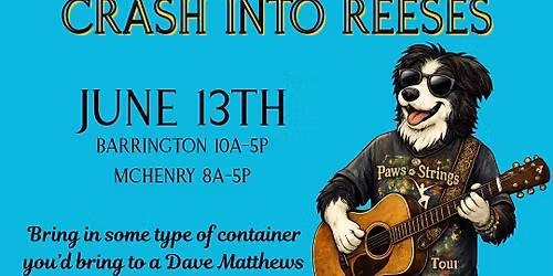 Dave Mutthews: Crash Into Reeses