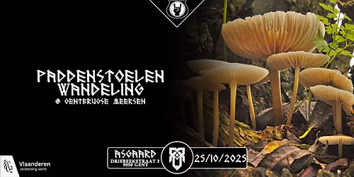 Paddenstoelenwandeling