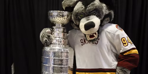 Chicago Wolves vs. Texas Stars