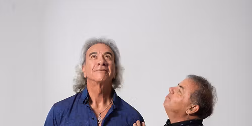 CUSTARD PIE~ Things are Looking Up!