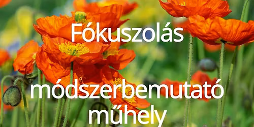 F\u00f3kuszol\u00e1s m\u00f3dszerbemutat\u00f3 m\u0171hely 