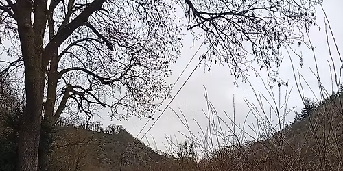 l'Od\u00e9on trail rando