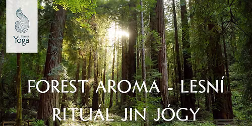FOREST AROMA - LESN\u00cd RITU\u00c1L JIN J\u00d3GY | DARA RAKOV\u010c\u00cdK