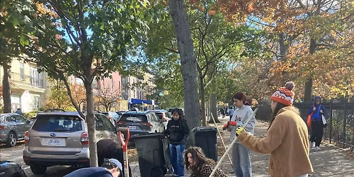 Street Tree Care with Park Slope Fifth Ave BID