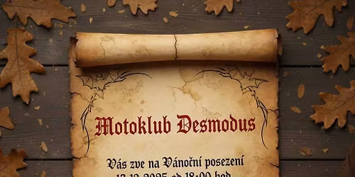 V\u00e1no\u010dn\u00ed P\u00e1rty