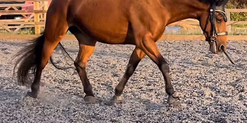 Groundwork with applied bodywork 