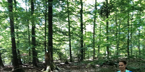 Sabines Geburtstagsultra 48,6Km mit 1080Hm