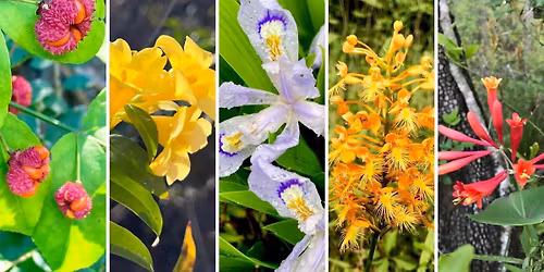 2026 Pickens County Native Plant Jubilee