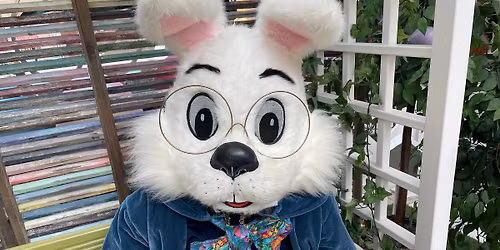 The Bunny! - Visits & Photos