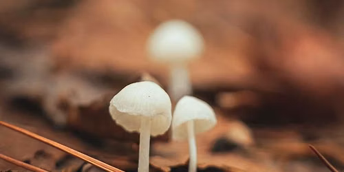 Nature Photography Meetup