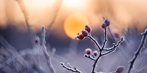 Winter Solstice Ritual + Sound Bath