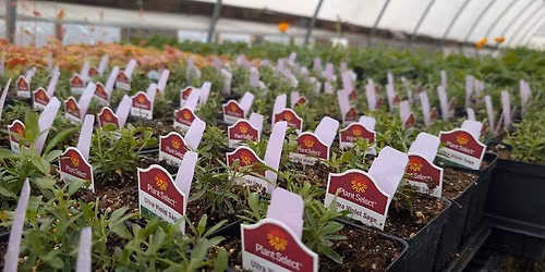 Member Insider Event: Plant Sale Sneak Peek