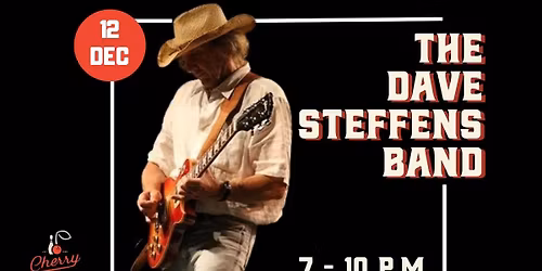 Live Music with The Dave Steffens Band