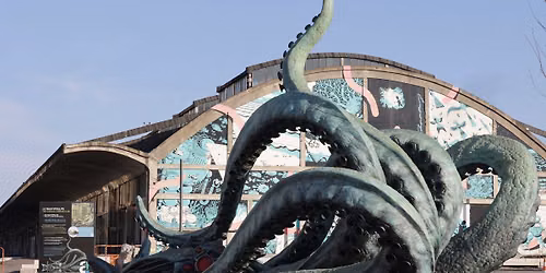 [VISITE]-Parcours Jules Verne