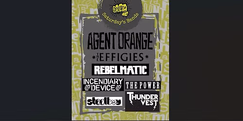Saturday Night of the Savage Mountain Punk Fest 26