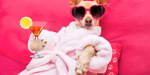 Annual Cinco de Mayo \u201cAy Chihuahua\u201d Beauty Pageant 2026