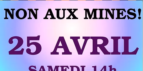 Marche pour le retrait des projets miniers.