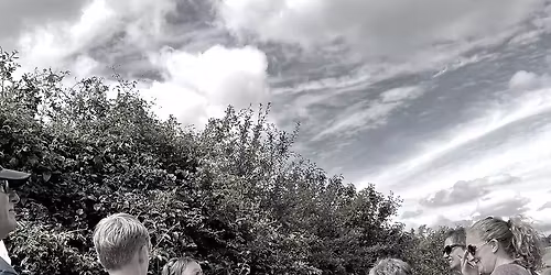 Medicinal Herb Walk - Medicines of the Hedgerows