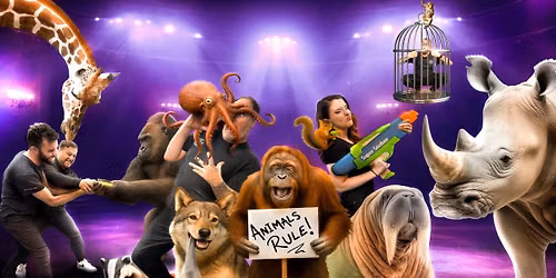 Amazing Animals