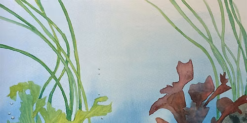Naze nature in watercolours \u2018rock pools\u2019