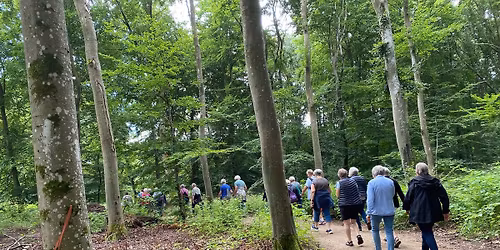 BIF Quinde Walk, Bjerringbro kulturfestival
