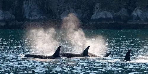 Alaskan Cruise 2027