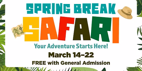 Spring Break Safari