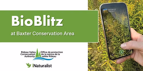 BioBlitz at Baxter Conservation Area!