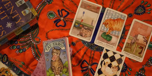 Tarot Card Reading Night with Cats