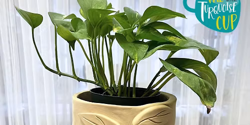 Hand Building A Clay Planter