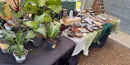 Roots Rock & Rituals @ Salado Farmers Market