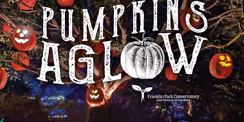 Pumpkins Aglow