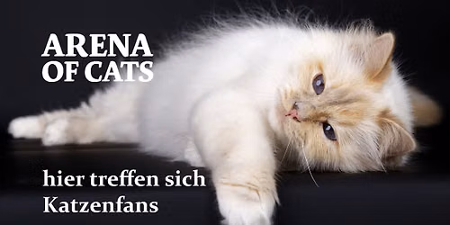 ARENA OF CATS - die Jubilee Edition 25