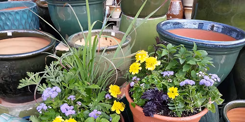 Mosquito Pot Workshop