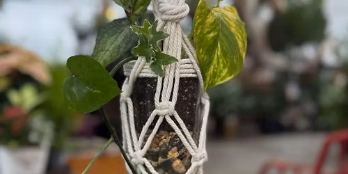 Macrame Hanger & Bottle Planter