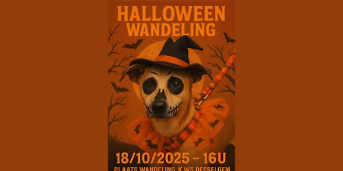 Halloween wandeling @KWS Desselgem