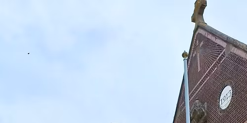 Streekmarkt Den Hout