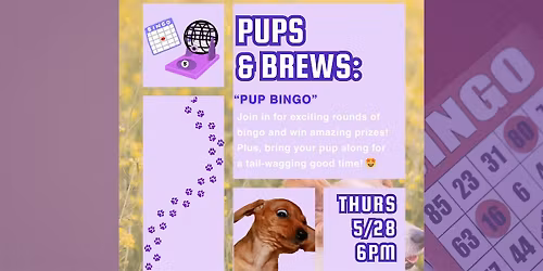 Pups & Brews: Pup Bingo Night!