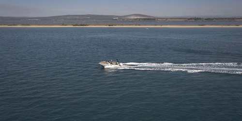 Atelier "Les activit\u00e9s \u00e0 faire en bateau autour de Carnon" - Neptunalia